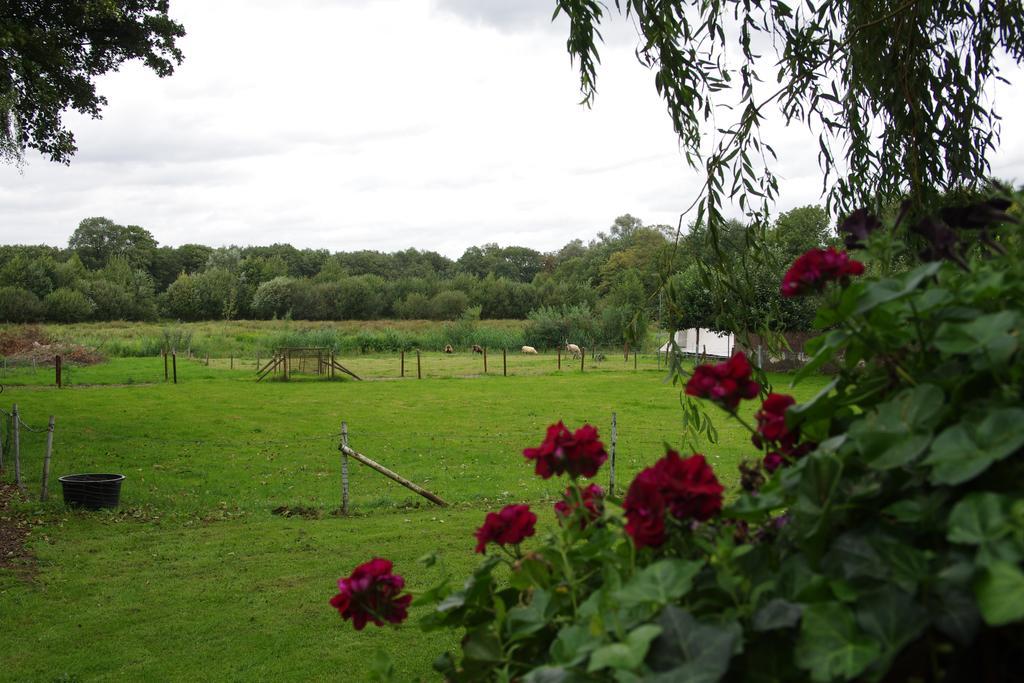 Vakantie Meerlo Exterior foto