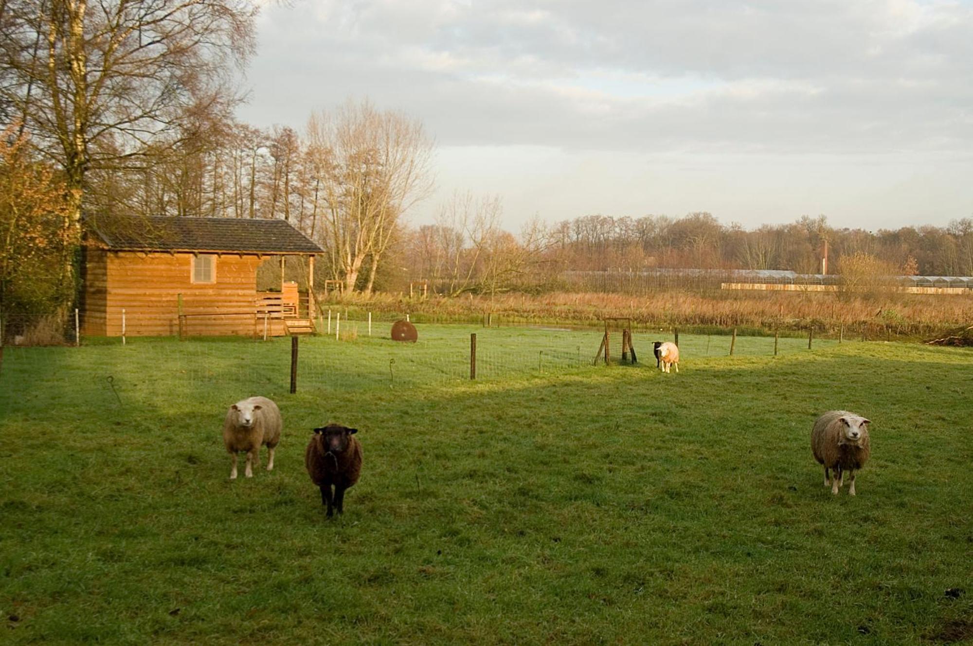 Vakantie Meerlo Exterior foto